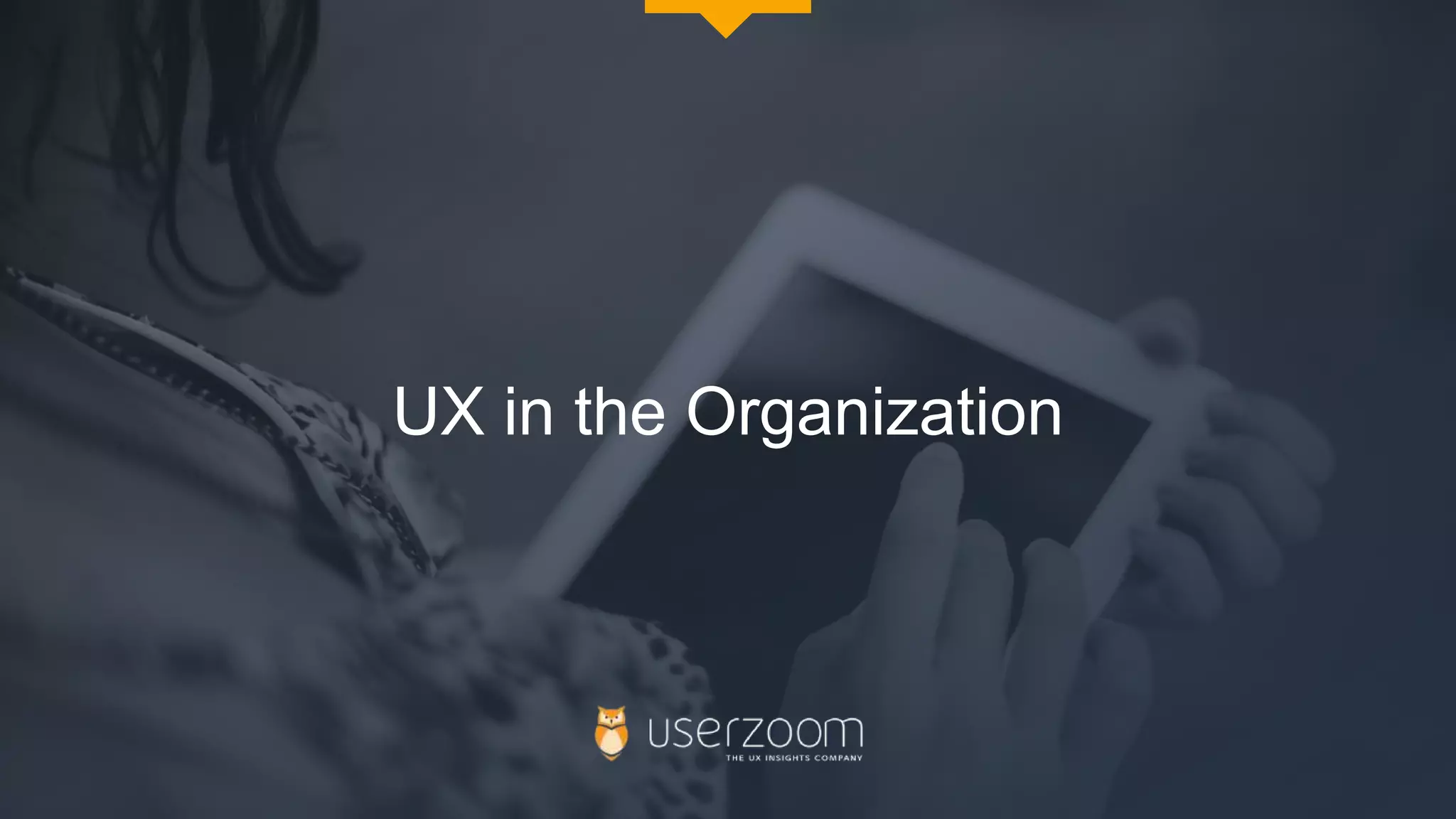 UX in the Organization
 