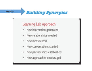Building SynergiesPHASE 3:
Learning Lab Approach
•  New information generated
•  New relationships created
•  New ideas tested
•  New conversations started
•  New partnerships established
•  New approaches encouraged
 