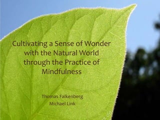 Cultivating a Sense of Wonder
    with the Natural World
   through the Practice of
          Mindfulness


        Thomas Falkenberg
           Michael Link
 
