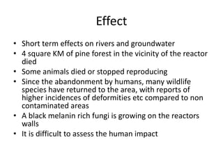 Effect
• Short term effects on rivers and groundwater
• 4 square KM of pine forest in the vicinity of the reactor
died
• Some animals died or stopped reproducing
• Since the abandonment by humans, many wildlife
species have returned to the area, with reports of
higher incidences of deformities etc compared to non
contaminated areas
• A black melanin rich fungi is growing on the reactors
walls
• It is difficult to assess the human impact
 