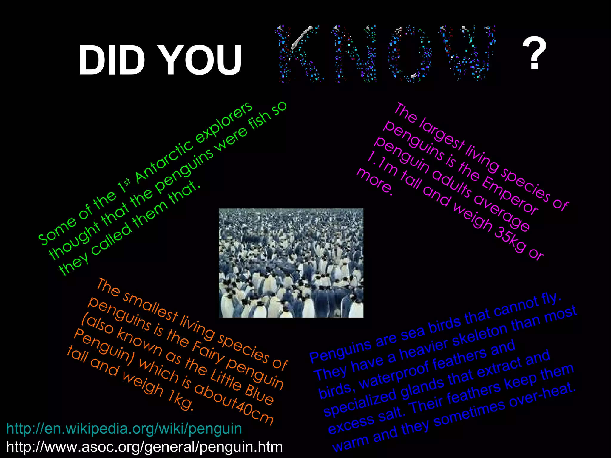 DID YOU ? Some of the 1 st  Antarctic explorers thought that the penguins were fish so they called them that. The largest living species of penguins is the Emperor penguin adults average 1.1m tall and weigh 35kg or more. The smallest living species of penguins is the Fairy penguin (also known as the Little Blue Penguin) which is about40cm tall and weigh 1kg. Penguins are sea birds that cannot fly. They have a heavier skeleton than most birds, waterproof feathers and specialized glands that extract and excess salt. Their feathers keep them warm and they sometimes over-heat. http://en.wikipedia.org/wiki/penguin   http://www.asoc.org/general/penguin.htm 