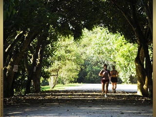 Materialpreliminardeusointerno,sujeitoaalterações.
 
