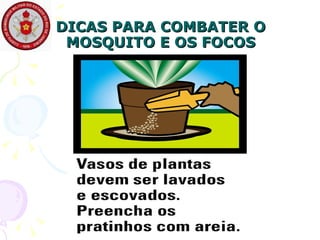 DICAS PARA COMBATER O MOSQUITO E OS FOCOS 