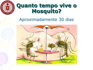 Quanto tempo vive o Mosquito? Aproximadamente 30 dias 