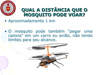 QUAL A DISTÂNCIA QUE O MOSQUITO PODE VOAR? Aproximadamente 1 km O mosquito pode também "pegar uma carona" em um carro ou avião, não tendo limites para seu alcance. 