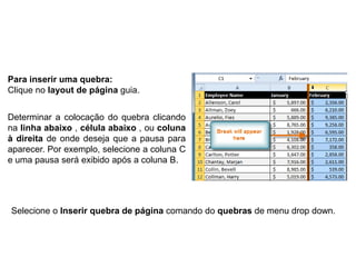 Para inserir uma quebra:
Clique no layout de página guia.


Determinar a colocação do quebra clicando
na linha abaixo , célula abaixo , ou coluna
à direita de onde deseja que a pausa para
aparecer. Por exemplo, selecione a coluna C
e uma pausa será exibido após a coluna B.




Selecione o Inserir quebra de página comando do quebras de menu drop down.
 