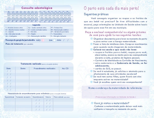 Cartão Da Gestante Ministério Da Saúde Download  Dê um Cartão
