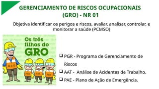 GERENCIAMENTO DE RISCOS OCUPACIONAIS
(GRO) - NR 01
Objetiva identificar os perigos e riscos, avaliar, analisar, controlar, e
monitorar a saúde (PCMSO)
 PGR - Programa de Gerenciamento de
Riscos
 AAT - Análise de Acidentes de Trabalho.
 PAE - Plano de Ação de Emergência.
 