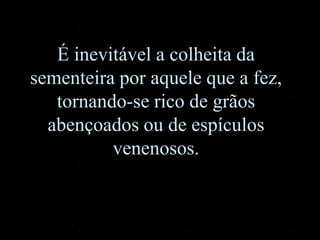 É inevitável a colheita da
sementeira por aquele que a fez,
tornando-se rico de grãos
abençoados ou de espículos
venenosos.
 