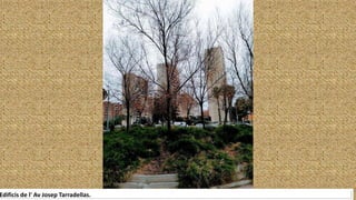 Edificis de l' Av Josep Tarradellas.
 
