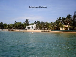 Editado por Kuribeka 