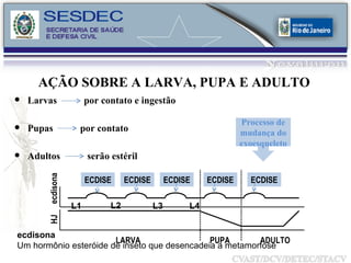 AÇÃO SOBRE A LARVA, PUPA E ADULTO ecdisona   Um hormônio esteróide de inseto que desencadeia a metamorfose Processo de mudança do exoesqueleto Larvas  por contato e ingestão Pupas  por contato Adultos  serão estéril ecdisona HJ ECDISE ECDISE ECDISE ECDISE ECDISE LARVA PUPA ADULTO L1 L2 L3 L4 