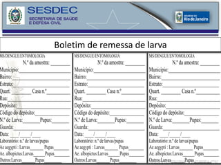 Boletim de remessa de larva 