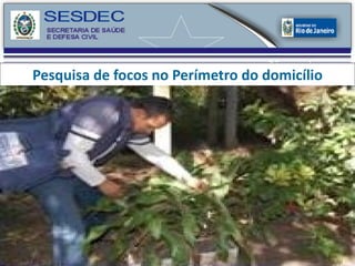 Pesquisa de focos no Perímetro do domicílio 