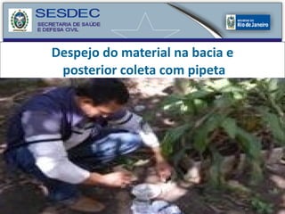 Despejo do material na bacia e  posterior coleta com pipeta 
