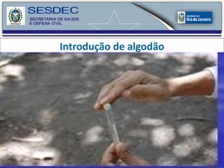 Introdução de algodão 