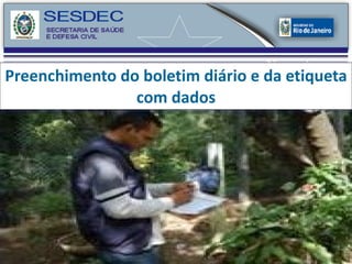 Preenchimento do boletim diário e da etiqueta com dados 