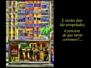 E nestes dias
tão atropelados,
à procura
de que tanto
corremos?...
 