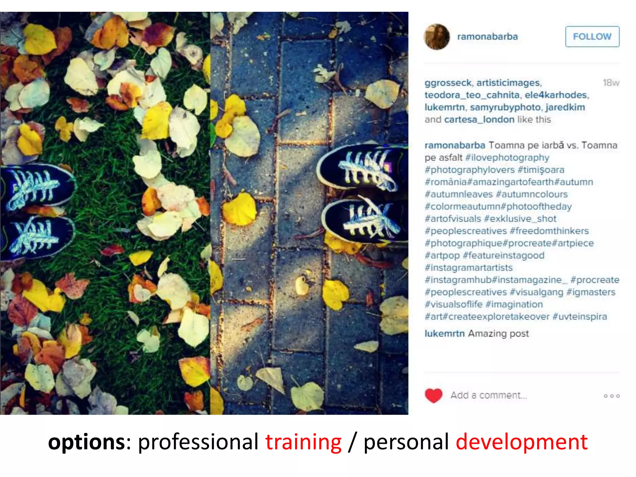 options: professional training / personal development