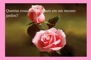 Quantas rosas desabrocham em um mesmo
jardim?
 