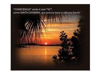 *CONSCIÊNCIA* ainda é com *SC*, como SANTA CATARINA, que precisa tocar a vida pra frente. 