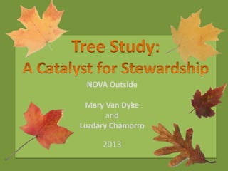 Tree Study:
NOVA Outside
Mary Van Dyke
and
Luzdary Chamorro

2013

 