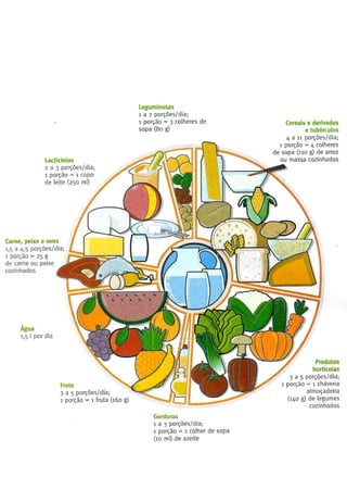 Nova roda dos alimentos