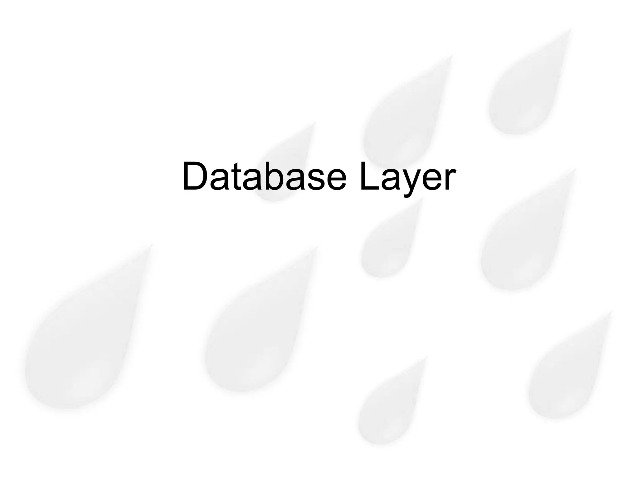 Database Layer
 