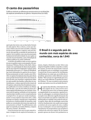 22 | maio DE 2013
aprovação dos textos com as descrições formais
de cada espécie. Para a ciência, o texto que des-
creve e batiza com um nome em latim, composto
de dois termos (gênero e espécie), uma nova for-
ma de vida equivale ao atestado de nascimento da
espécie. Serve também como uma documentação
fundamental da biodiversidade de uma região, no
caso das aves da Amazônia, e para a formulação de
políticas públicas de caráter ambiental.
A iniciativa de publicar todas as novas espécies
deumavezganhoucorponoanopassadoefoicoor-
denada por Whitney, Silveira, Cohn-Haft e Aleixo,
semprecomaparticipaçãodealunosdepós-gradua-
ção de suas respectivas instituições. O grupo estava
produzindo textos para o 17º volume do Handbook,
que traria informações de espécies de aves desco-
bertasrecentementeemtodoomundo,entre1992e
2011.Asespéciesformalmentedescritaspelaciência
nesse período haviam ficado de fora dos demais 16
livros da série, que resumiam e organizavam dados
de cada membro das famílias conhecidas de aves.
Inicialmente, o volume especial da obra trataria de
68 espécies, todas já descritas formalmente em pa-
pers publicados em revistas científicas nas últimas
duas décadas, o que dá uma média de menos de 4
novasespéciesdescobertasporano.Nofinal,olivro
extratrará83espécies,incluindoas15daAmazônia
cuja descrição científica ocorre excepcionalmente
no próprio livro. Ao optar por revelar simultanea-
mente as novas espécies numa única obra, a ideia
do grupo era chamar a atenção para a importância
de preservar a biodiversidade da Amazônia, onde
podem ser encontrados dois terços das espécies de
aves presentes no Brasil. “Se publicássemos cada
paper em separado, em revistas distintas, o impacto
não seria o mesmo”, diz Silveira.
O ato de procurar por aves no meio natural re-
mete à imagem de um sujeito de bermudas, ca-
miseta, chapéu e binóculos na mão. Talvez uma
máquina fotográfica também componha o cenário.
No entanto, um item não mencionado é mais do
que obrigatório para os ornitólogos: um gravador.
A maioria das 15 novas espécies foi, inicialmente,
identificada por seu cantar, que, aos ouvidos dos es-
pecialistas, apresentava caráter diferente ou pouco
familiar. “Não é preciso ser superdotado para reco-
nhecer um cantar diferente. É questão de treino”,
diz Whitney. “É como reconhecer pelo primeiro
acorde uma música nova de sua banda favorita.”
H
á apenas duas décadas, a descrição de uma
nova espécie de ave, como ocorria com a
maioria dos seres vivos, se baseava apenas
na singularidade de sua anatomia e aparência ex-
terna. Se a plumagem e as estruturas ósseas de um
exemplar eram diferentes significativamente dos
traços encontrados nas espécies conhecidas, esse
animal podia ser rotulado como sendo de uma no-
va espécie. Hoje, além da morfologia, outros dois
critérios fundamentais são usados para propor
a existência de novas espécie de aves: a análise
de suas vocalizações e de seu material genético.
“Atualmente há pesquisadores que propõem a
existência de uma nova espécie de ave mesmo
quando apenas um desses três parâmetros se
O Brasil é o segundo país do
mundo com mais espécies de aves
conhecidas, cerca de 1.840
O canto dos passarinhos
Gráficos mostram as diferenças sonoras entre as vocalizações
de espécies semelhantes do gênero Herpsilochmus (ao lado)
Frequência(kHz)
0.5 1 1.5 2 2.5 3
Tempo (s)
4
3
2
1
0
4
3
2
1
0
4
3
2
1
0
 