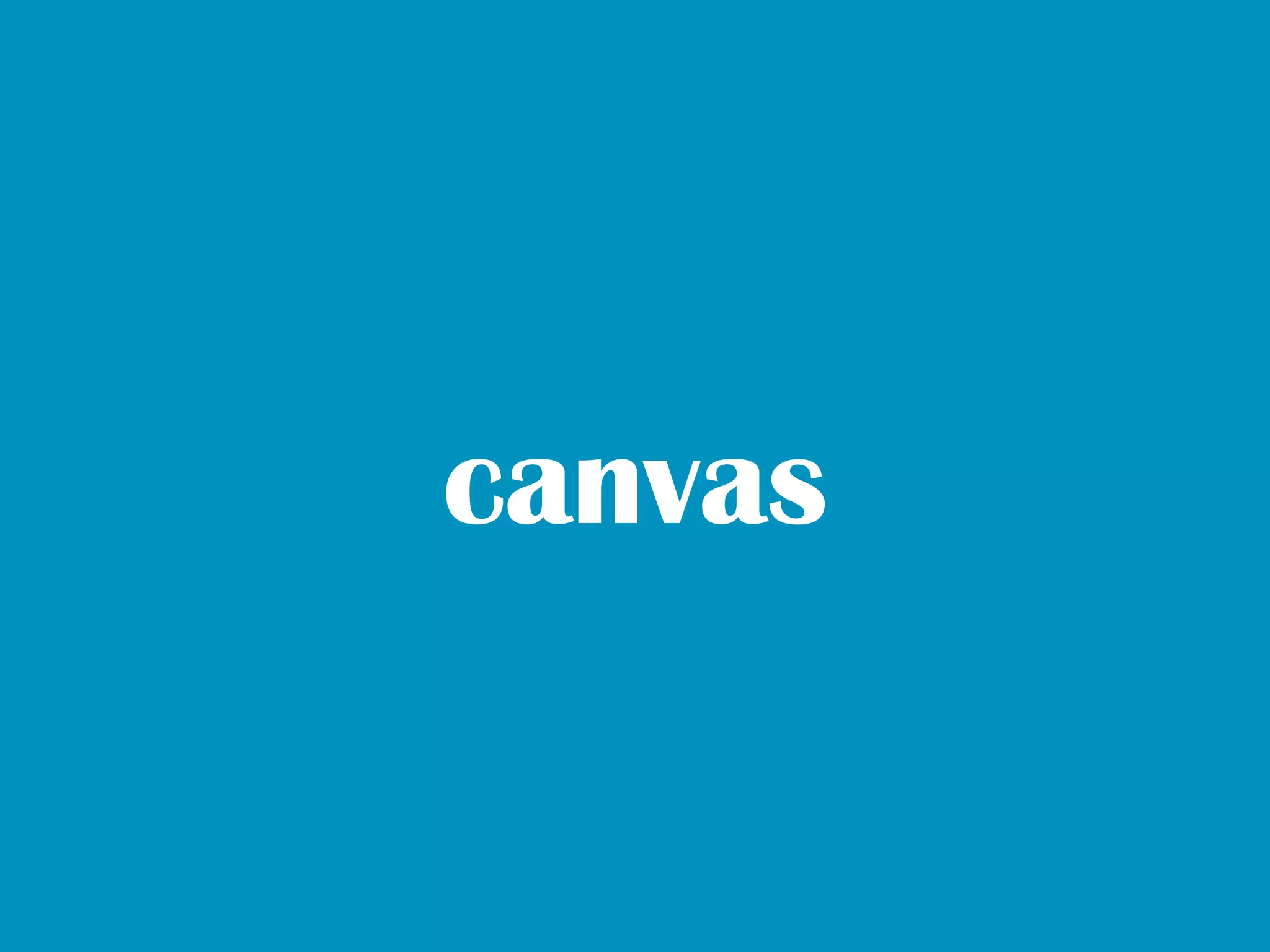 canvas
 