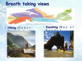 Breath taking views




• Hiking (C a b o t   • Kayaking (B a y o f
  Tr a i l )            Fu n d y )
 