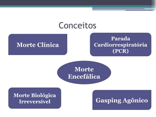 Conceitos
                                  Parada
 Morte Clínica              Cardiorrespiratória
                                  (PCR)


                      Morte
                    Encefálica


Morte Biológica
 Irreversível               Gasping Agônico
 