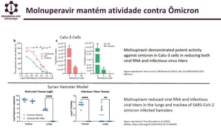 Molnuperavir mantém atividade contra Ômicron
 