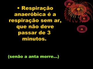 • Respiração
  anaeróbica é a
respiração sem ar,
   que não deve
   passar de 3
     minutos.


(senão a anta morre...)
 