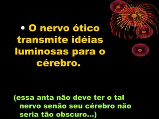 • O nervo ótico
 transmite idéias
luminosas para o
     cérebro.


(essa anta não deve ter o tal
  nervo senão seu cérebro não
  seria tão obscuro...)
 