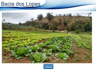 Bacia dos Lopes
 