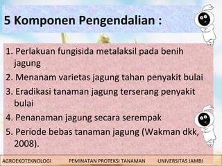 Penyakit Bulai Pada Jagung | PPT
