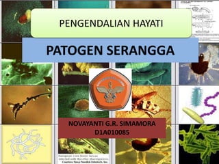 PATOGEN SERANGGA
NOVAYANTI G.R. SIMAMORA
D1A010085
PENGENDALIAN HAYATI
 