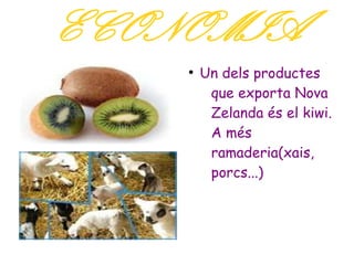 ECONOMIA
    ●
        Un dels productes
         que exporta Nova
         Zelanda és el kiwi.
         A més
         ramaderia(xais,
         porcs...)
 