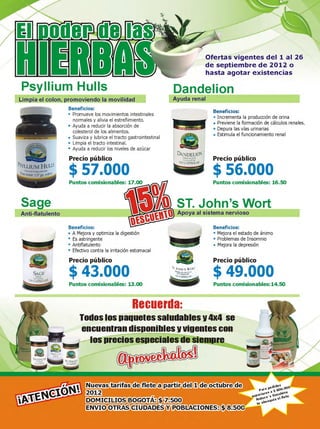 Novedades agosto
