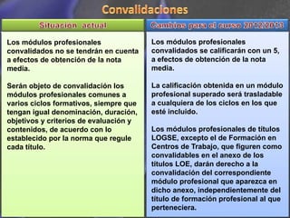 Los módulos profesionales               Los módulos profesionales
convalidados no se tendrán en cuenta    convalidados se calificarán con un 5,
a efectos de obtención de la nota       a efectos de obtención de la nota
media.                                  media.

Serán objeto de convalidación los       La calificación obtenida en un módulo
módulos profesionales comunes a         profesional superado será trasladable
varios ciclos formativos, siempre que   a cualquiera de los ciclos en los que
tengan igual denominación, duración,    esté incluido.
objetivos y criterios de evaluación y
contenidos, de acuerdo con lo           Los módulos profesionales de títulos
establecido por la norma que regule     LOGSE, excepto el de Formación en
cada título.                            Centros de Trabajo, que figuren como
                                        convalidables en el anexo de los
                                        títulos LOE, darán derecho a la
                                        convalidación del correspondiente
                                        módulo profesional que aparezca en
                                        dicho anexo, independientemente del
                                        título de formación profesional al que
                                        perteneciera.
 