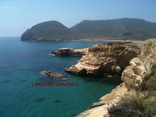 TAVIFOP INSUFICIENCIA MITRALDENERVACIÓN RENAL
¡ MUCHAS GRACIAS !
 