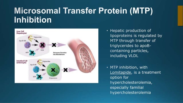Novel approaches in Lipid Management Novel approaches in Lipid Management