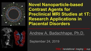 Novel Nanoparticle-based Contrast Agents for Preclinical MRI Studies at ...