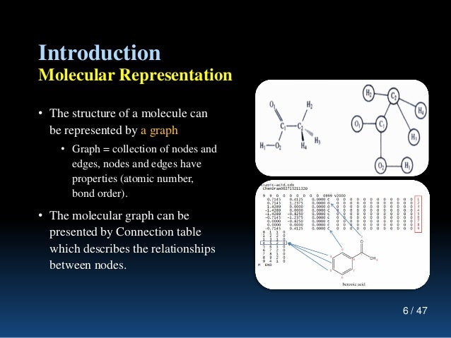What kind of molecule is represented in the diagram
