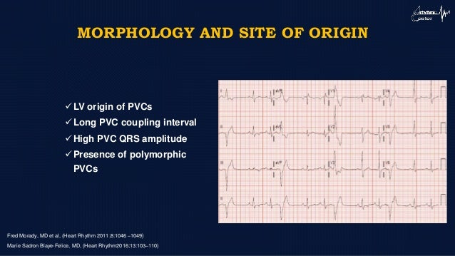 Novel Approaches To Pvc