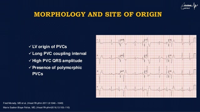 Novel Approaches To Pvc Novel Approaches To Pvc