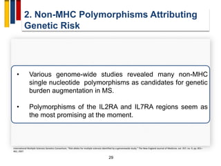 2. Non-MHC Polymorphisms Attributing
Genetic Risk
29
• Various genome-wide studies revealed many non-MHC
single nucleotide polymorphisms as candidates for genetic
burden augmentation in MS.
• Polymorphisms of the IL2RA and IL7RA regions seem as
the most promising at the moment.
International Multiple Sclerosis Genetics Consortium, “Risk alleles for multiple sclerosis identified by a genomewide study,” The New England Journal of Medicine, vol. 357, no. 9, pp. 851–
862, 2007.
 