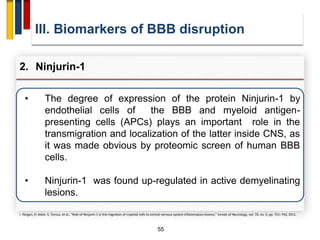 55
• The degree of expression of the protein Ninjurin-1 by
endothelial cells of the BBB and myeloid antigen-
presenting cells (APCs) plays an important role in the
transmigration and localization of the latter inside CNS, as
it was made obvious by proteomic screen of human BBB
cells.
• Ninjurin-1 was found up-regulated in active demyelinating
lesions.
III. Biomarkers of BBB disruption
2. Ninjurin-1
I. Ifergan, H. Kebir, S. Terouz, et al., “Role of Ninjurin-1 in the migration of myeloid cells to central nervous system inflammatory lesions,” Annals of Neurology, vol. 70, no. 5, pp. 751–763, 2011.
 