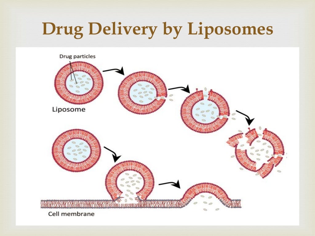 Novel Drug Delivery Systems
